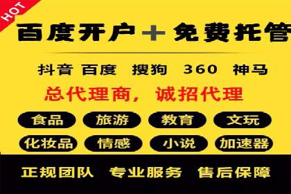 网站SEM托管优化策略及成功案例